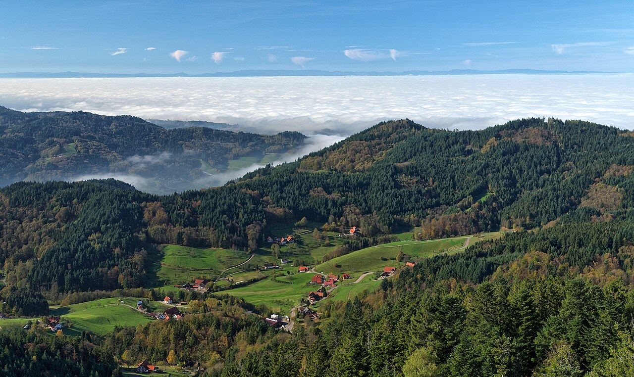 Black Forest hills and farmhouses