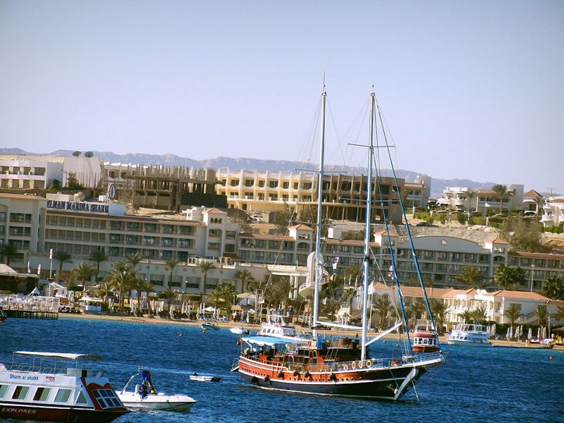 Sharks Bay