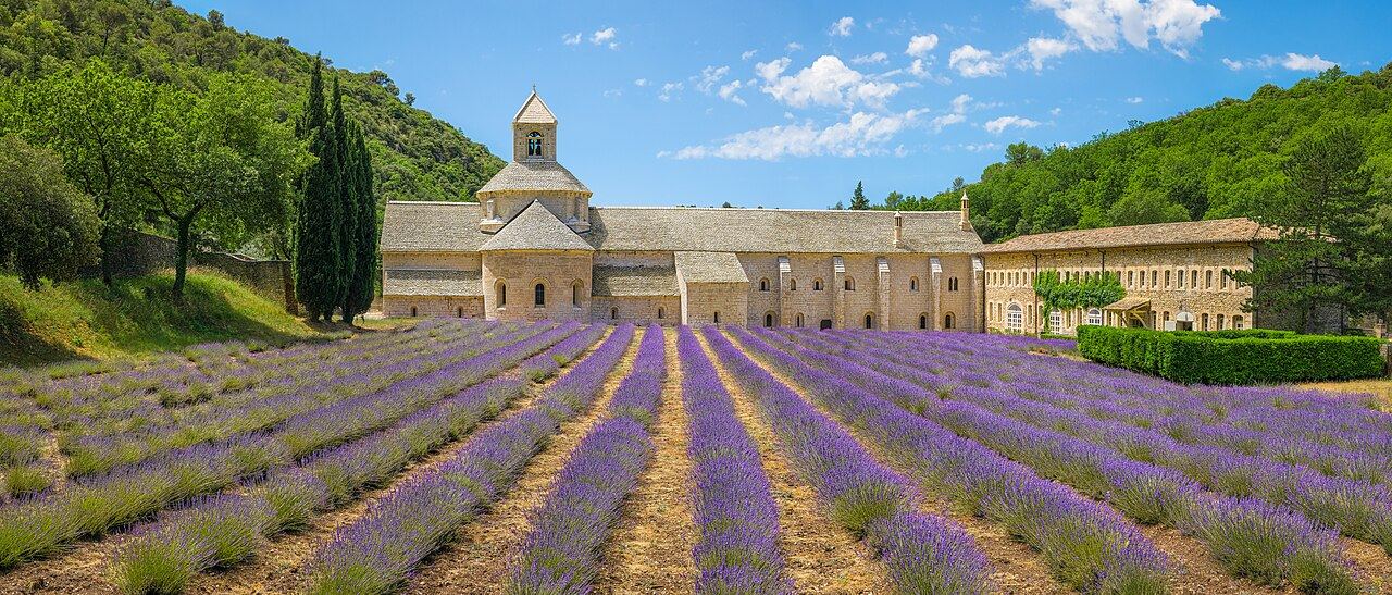 Sénanque Abbey and lavender