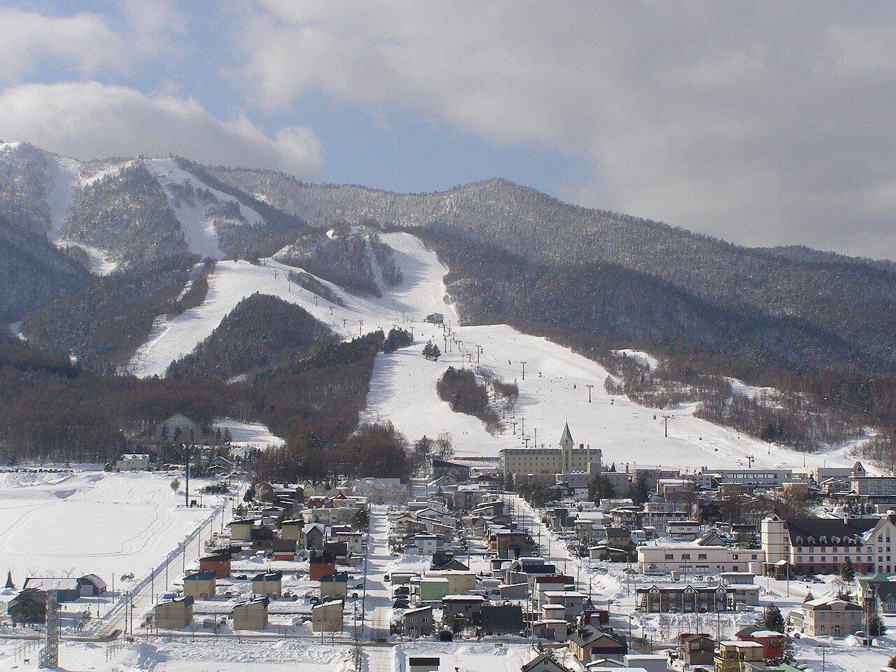 Flower fields in Furano