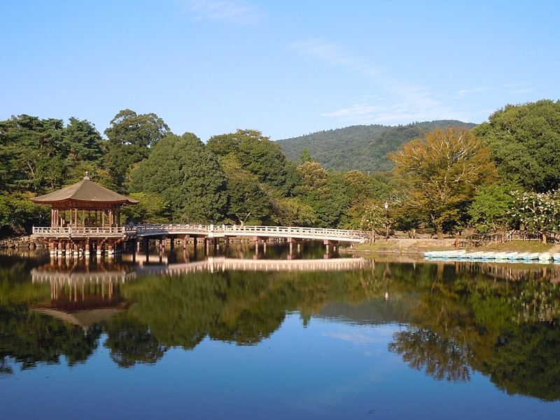 Near Nara Park