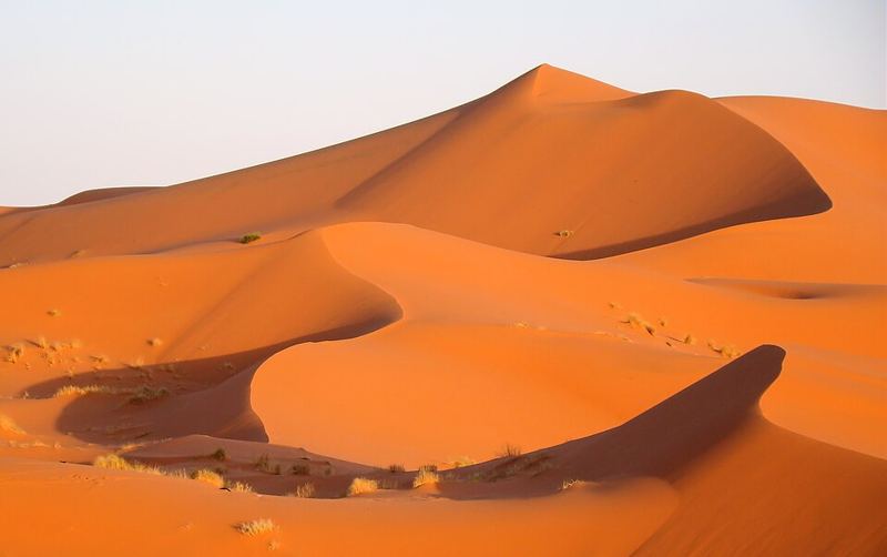 Desert camps