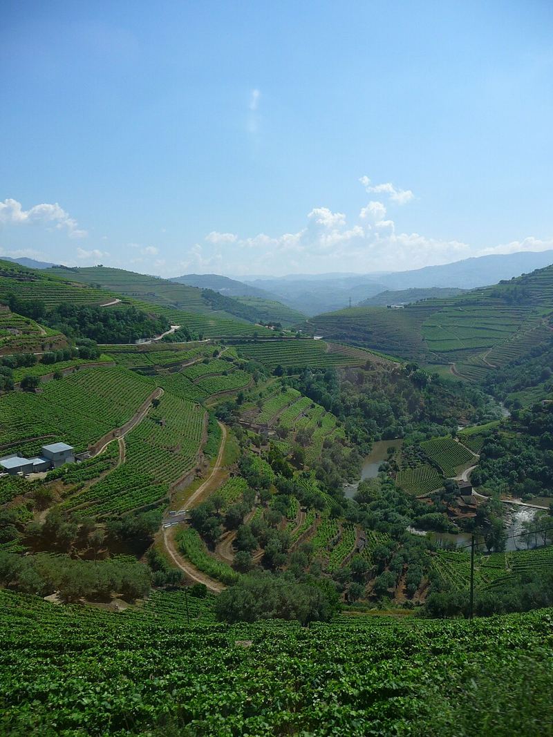 A wine estate