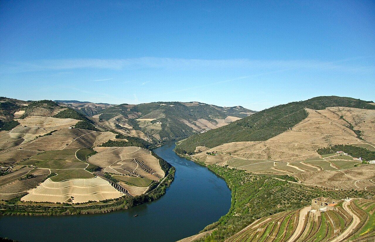 Pinhão
