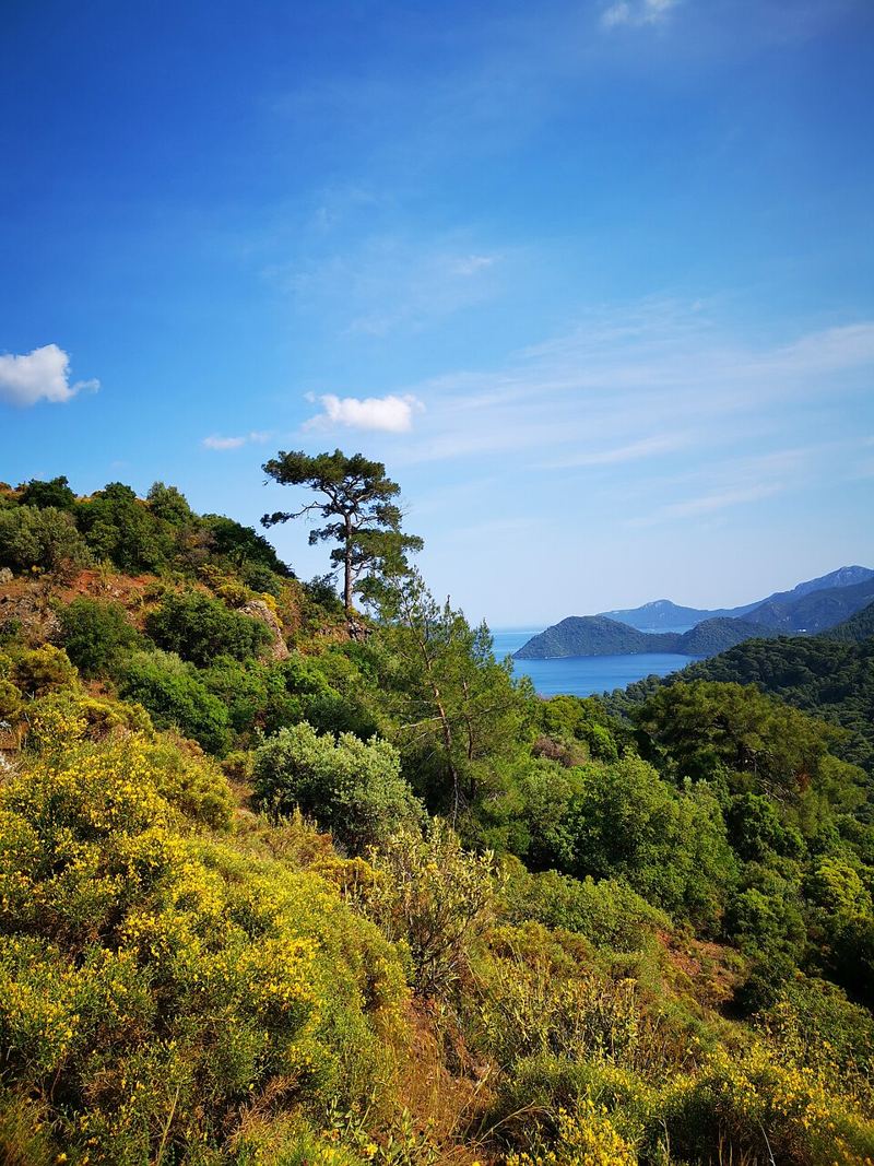 Marmaris town