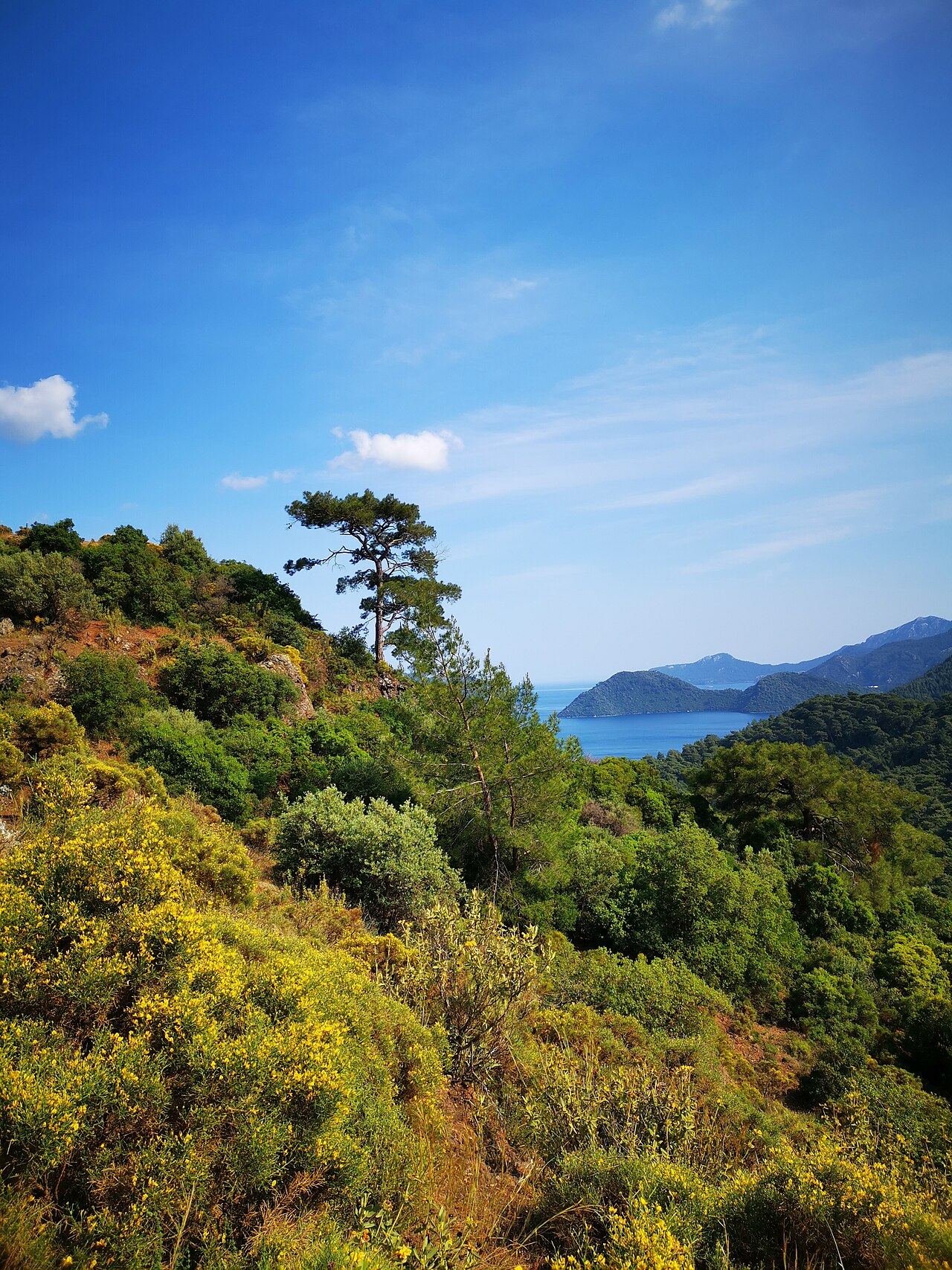 Marmaris bay
